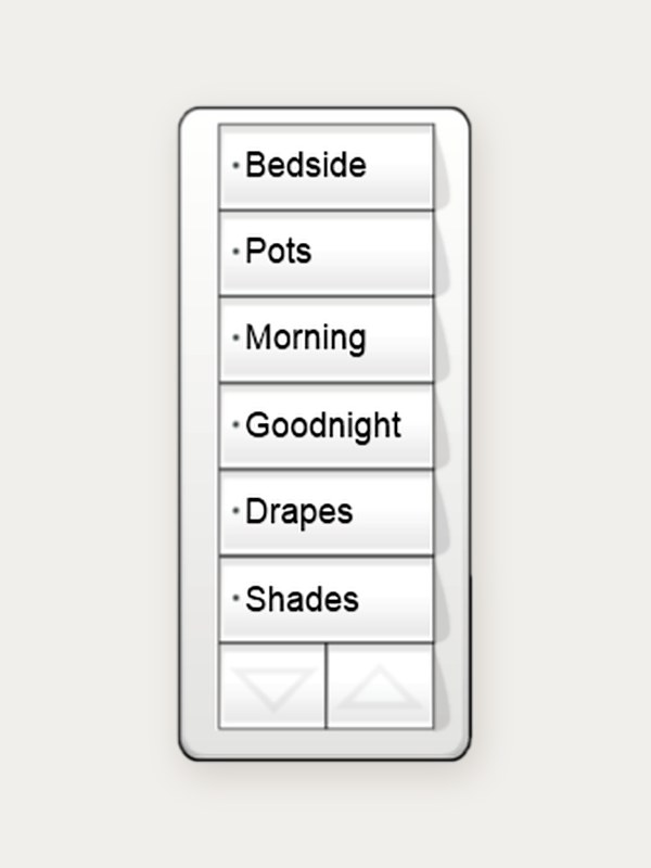 Lutron seeTouch keypad engraved with scene names